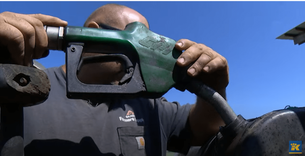 Featured on King 5&nbsp;News